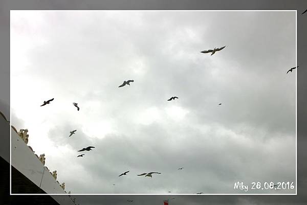 布萊頓Brighton誰說女生不能獨自旅行