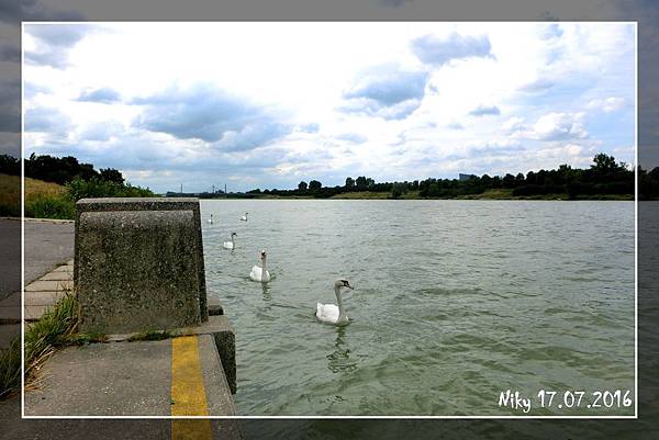 維也納 多瑙島、貝多芬小徑兩小女子遊歐洲 維也納 多瑙島、貝多芬小徑兩小女子遊歐洲