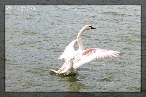 維也納 多瑙島、貝多芬小徑兩小女子遊歐洲 維也納 多瑙島、貝多芬小徑兩小女子遊歐洲