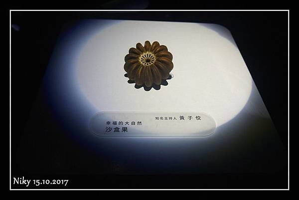 台灣設計展2017難得文青一下趴萬 台灣設計展2017難得文青一下趴萬