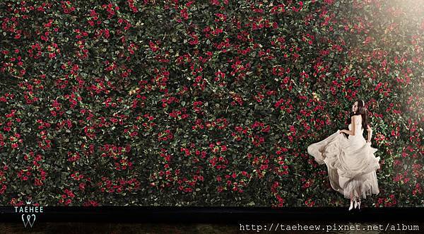 螢幕快照 2015-06-14 下午2.07.31.jpg 螢幕快照 2015-06-14 下午2.07.31.jpg