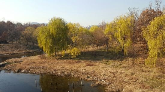 park-scenery-in-dec.jpg park-scenery-in-dec.jpg