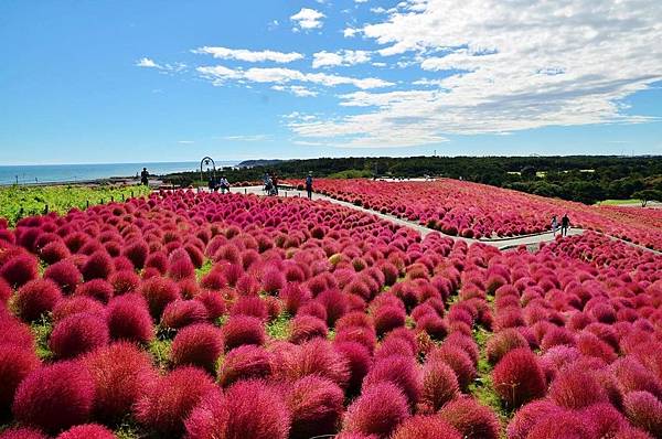 bcb415d08919888a526069b9317bda44.jpg bcb415d08919888a526069b9317bda44.jpg