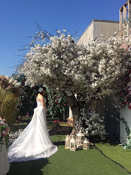 WhatsApp Image 2018-10-20 at 14.08.11.jpeg WhatsApp Image 2018-10-20 at 14.08.11.jpeg