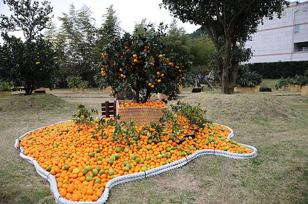 739_2674_5946.jpg 739_2674_5946.jpg