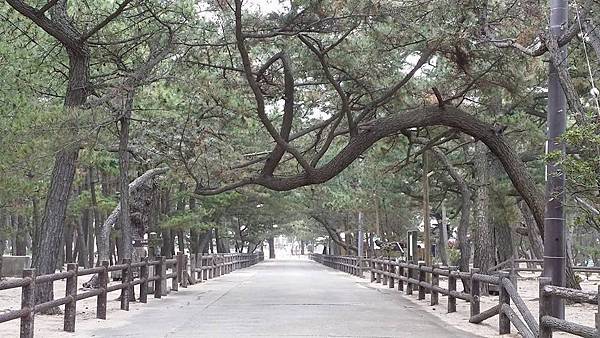 四國(四)淡路島兜風:鳴門大橋+夢舞台+花卉山丘+慶野松源 