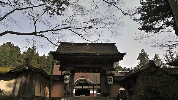 DSC_0034 (2).JPG DSC_0034 (2).JPG