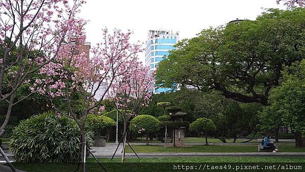 有事找樂趣:二二八和平公園+臺灣博物館
