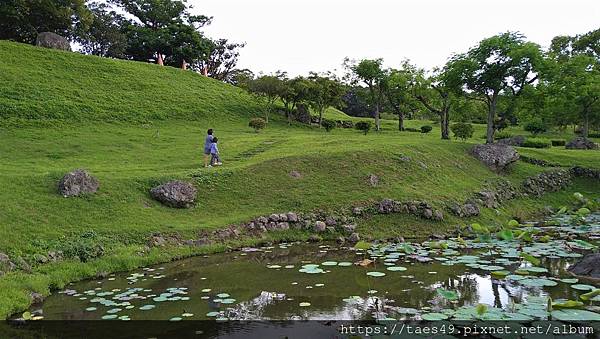 鐵道.小村.慢行(二)富里隱田中