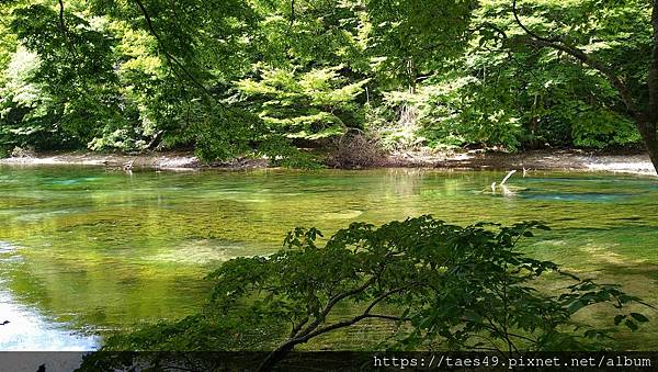 奧入瀨溪+星野溪流早餐