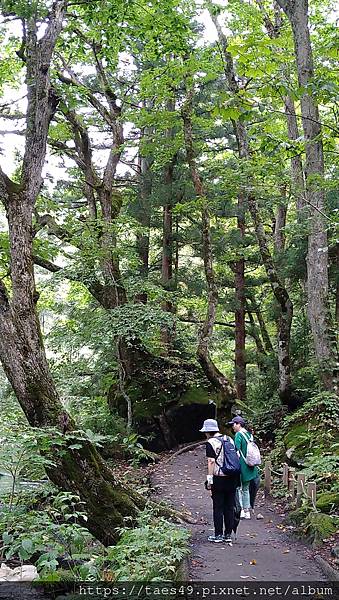 奧入瀨溪+星野溪流早餐