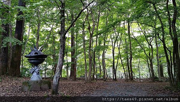 奧入瀨溪+星野溪流早餐