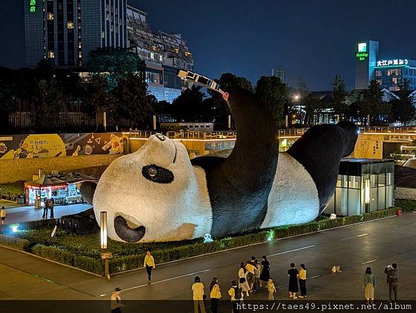 獨行中國(2)戀上大熊貓