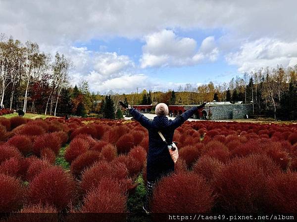 北海道自駕8日:路線&景點&住宿