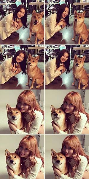 S__262414338.jpg S__262414338.jpg