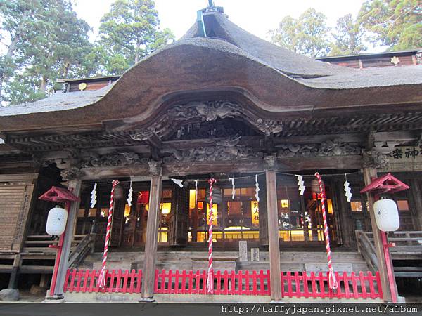 山形熊野大社之兔子你在哪 雪花台湾 山形熊野大社之兔子你在哪 雪花台湾