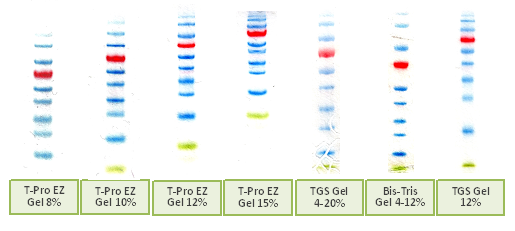 T-Pro%20EZ%20Gel(1).png