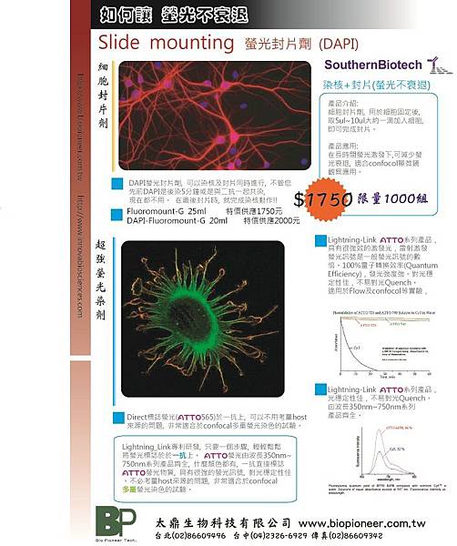 Fluoremout染光固定試劑_20100422 彩色DM_單面.jpg