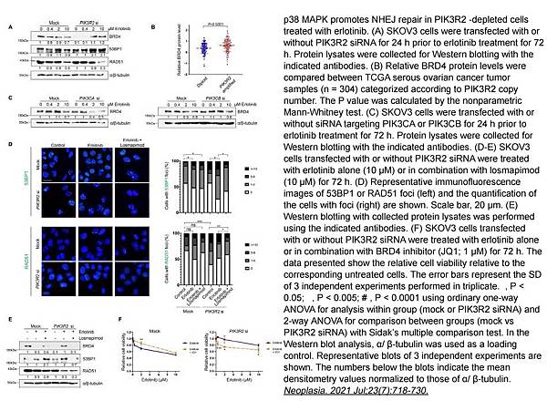 1 Bromodomain Inhibitor, (+)-JQ1 CAS# 1268524-70-4  APExBIO  貨號A1910.jpg