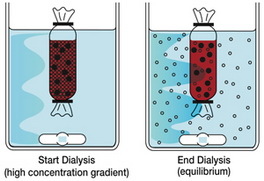 Dialysis_Fund01.jpg