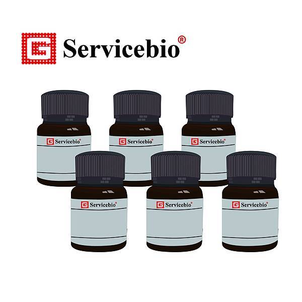 試劑繪圖 (全集) 化學染劑_工作區域 1.jpg 試劑繪圖 (全集) 化學染劑_工作區域 1.jpg