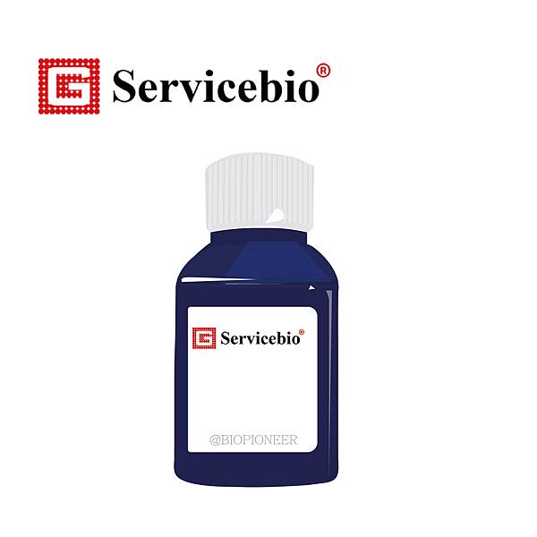 試劑繪圖 (全集) 化學染劑Toluidine Blue Dye_工作區域 1.jpg 試劑繪圖 (全集) 化學染劑Toluidine Blue Dye_工作區域 1.jpg