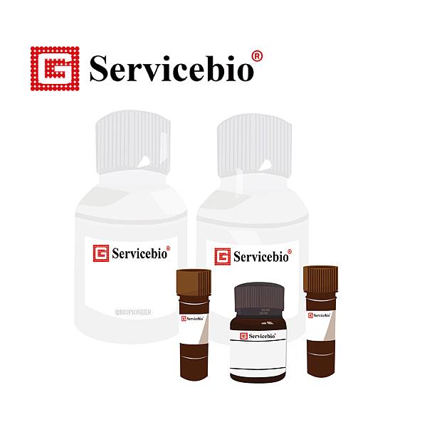 試劑繪圖 (全集) 化學染劑 細胞老化_工作區域 1.jpg 試劑繪圖 (全集) 化學染劑 細胞老化_工作區域 1.jpg