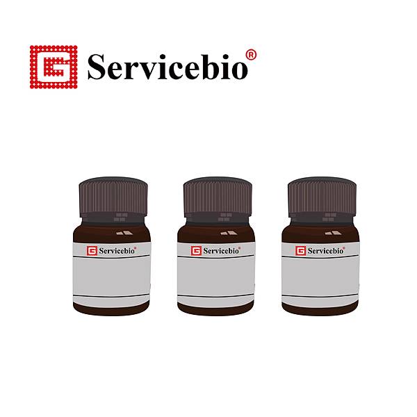 試劑繪圖 (全集) 化學染劑3_工作區域 1.jpg 試劑繪圖 (全集) 化學染劑3_工作區域 1.jpg