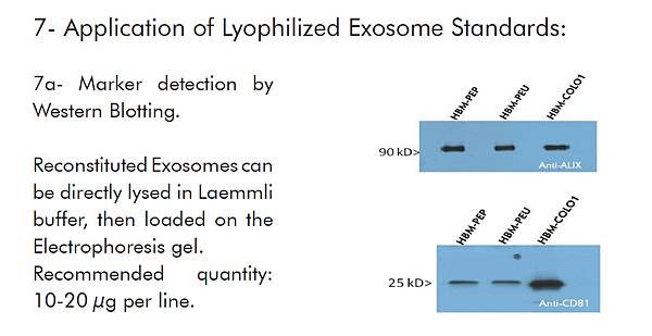 EXOSOME 1.jpg