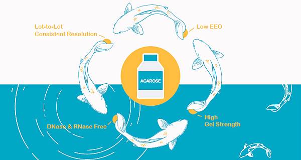 content_MB755.jpg content_MB755.jpg