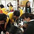 IMGP5686.jpg