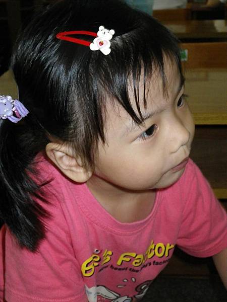 IMGP0054.jpg