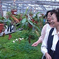 CIMG0121.jpg