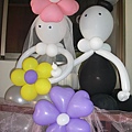 CIMG0067.jpg