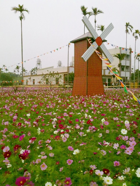 99.01.24_神岡社南花海1