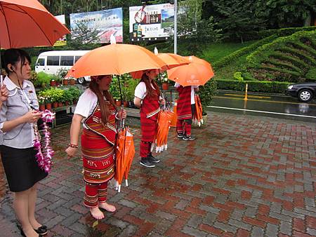 IMG_5361 IMG_5361