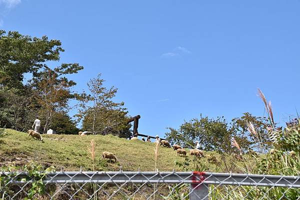 清境天空步道