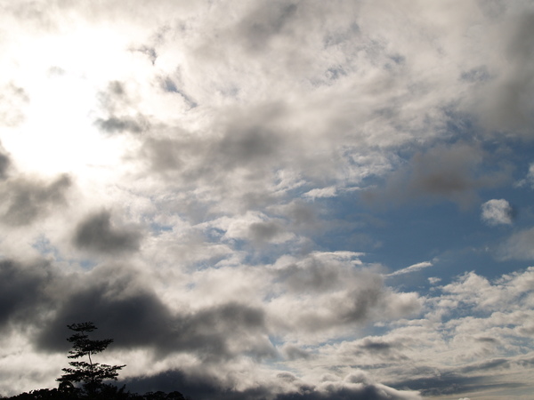 P1010356.JPG