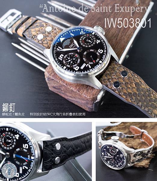 Exotic_IWC-503801-resize.jpg