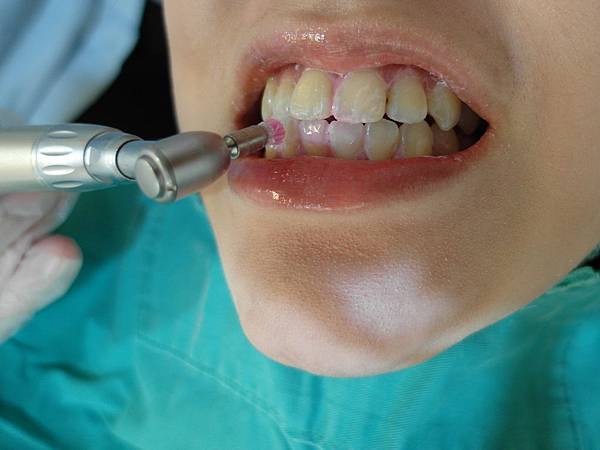 SAM_0017.JPG SAM_0017.JPG