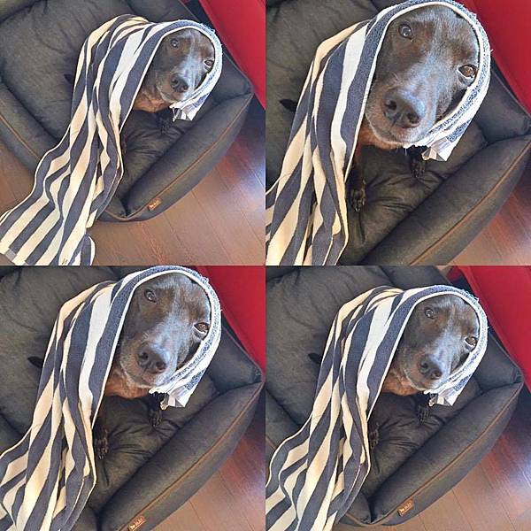 12226434_10206808096552330_2119087074_n