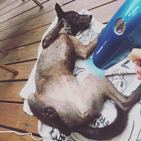 12226767_10206808104032517_1931298960_n