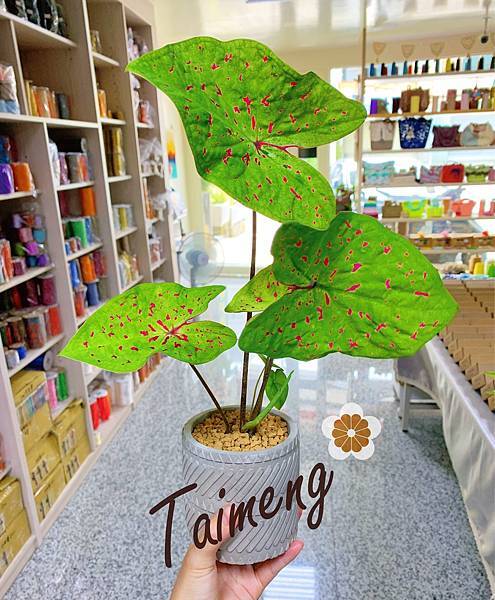 台孟門市支持 Line pay 付款🎉棉繩、麻繩、縫紉線、五 台孟門市支持 Line pay 付款🎉棉繩、麻繩、縫紉線、五