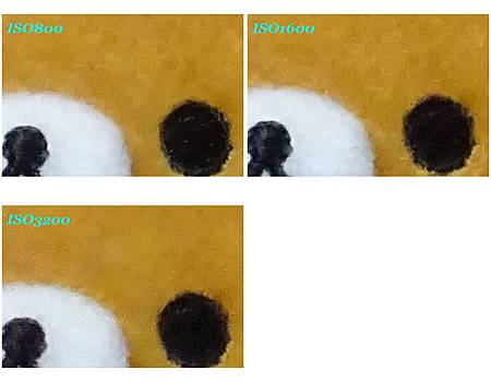ISO01B.jpg ISO01B.jpg