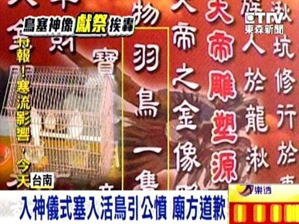 入神儀式塞入活鳥引公憤 廟方道歉