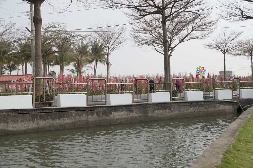 DSC02155.JPG DSC02155.JPG
