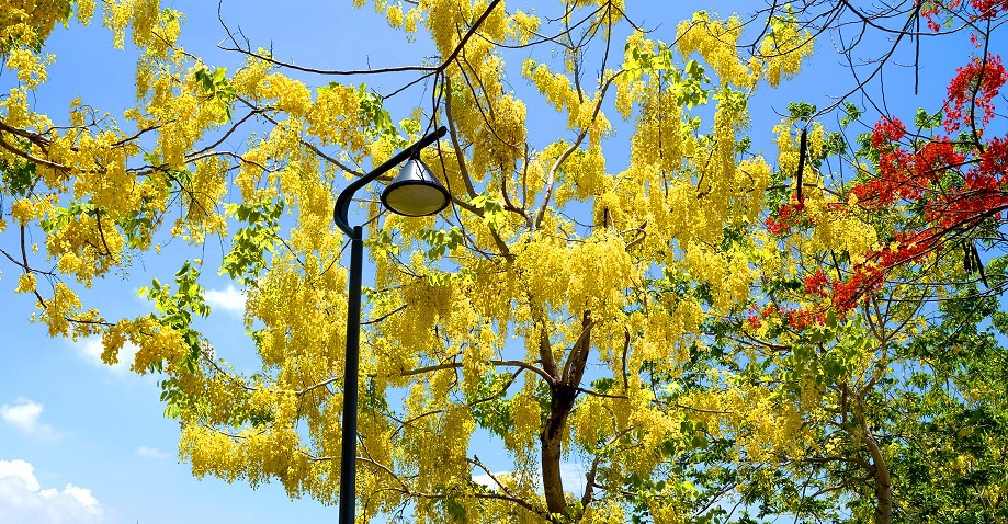 5-19-1.jpg 5-19-1.jpg