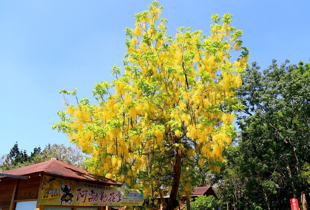 5-19-3.jpg 5-19-3.jpg