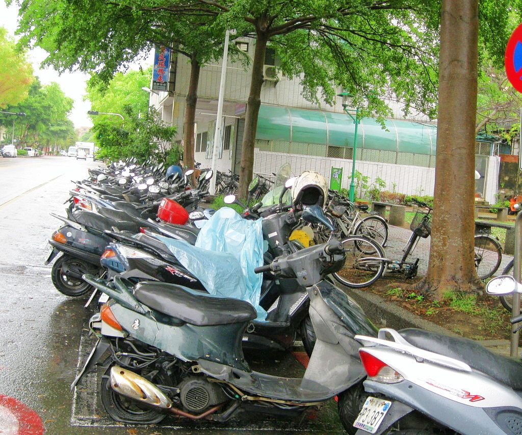 6-26-5.JPG 6-26-5.JPG