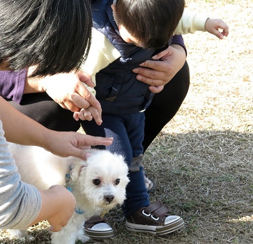 6-30-2.jpg 6-30-2.jpg